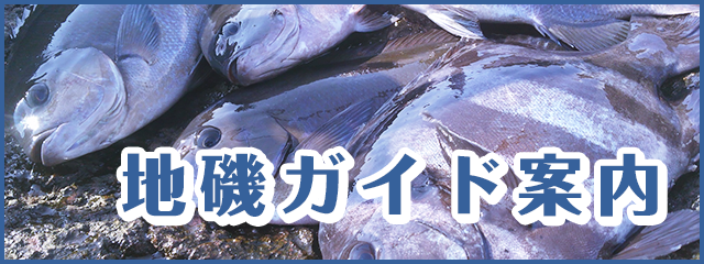 地磯ガイド案内