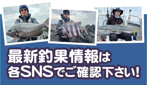 最新釣果情報は各SNSでご確認下さい