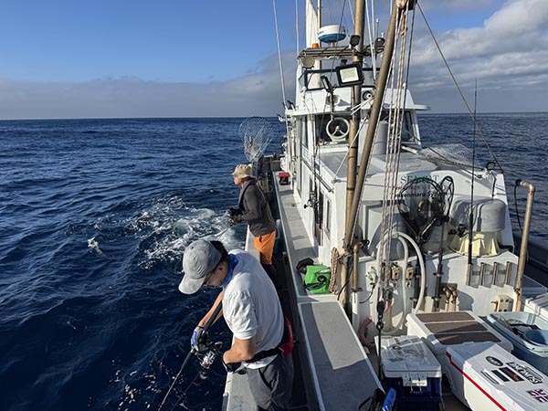 釣船 三宅島 船釣り